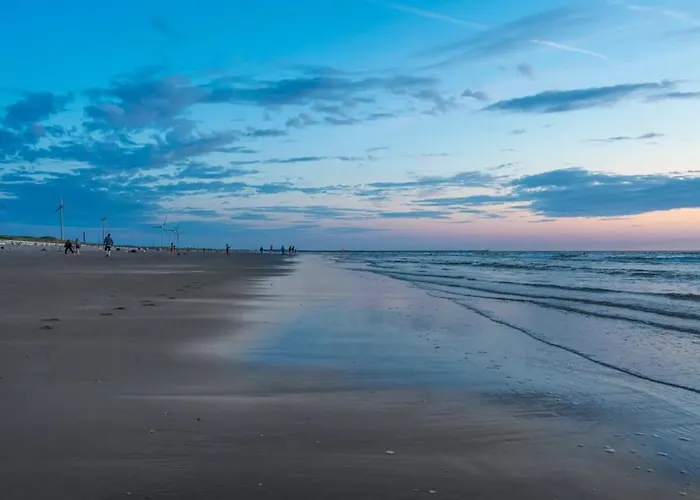 Houseboat Campi 4 Persons Chalet Uitgeest